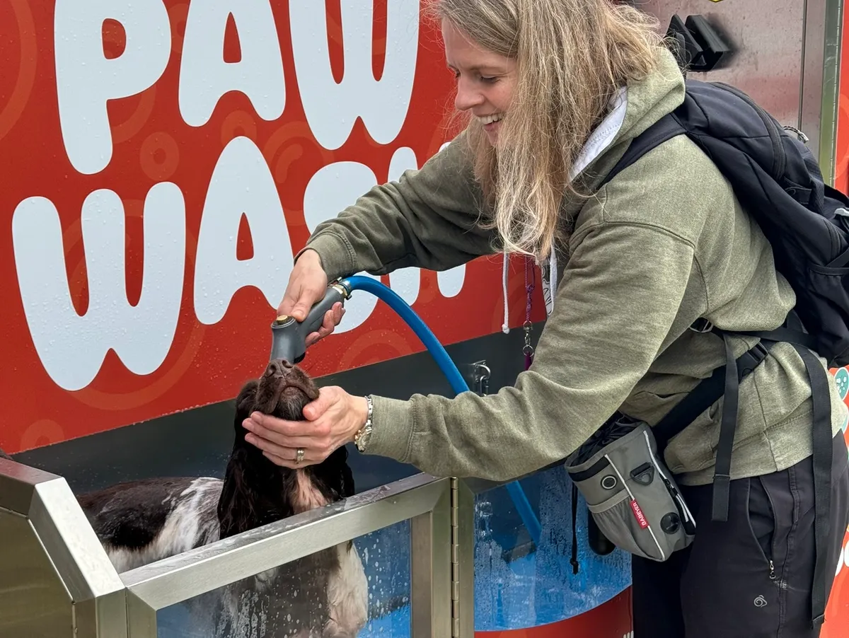 Paw Wash